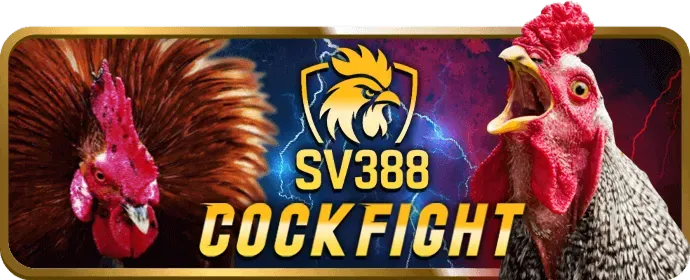 Các tính năng ưu việt của Blue88
